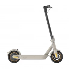 Električni trotinet Segway, sivi